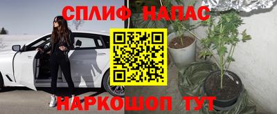 прущие крисы Аша