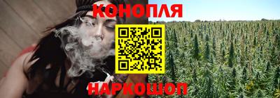 прущие крисы Аша