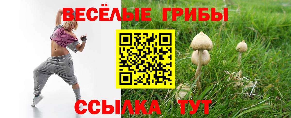 Галлюциногенные грибы GOLDEN TEACHER Десногорск
