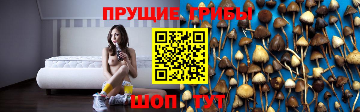 Галлюциногенные грибы Psilocybine cubensis  Вход с VPN  Псилоцибиновые грибы мицелий  Десногорск 